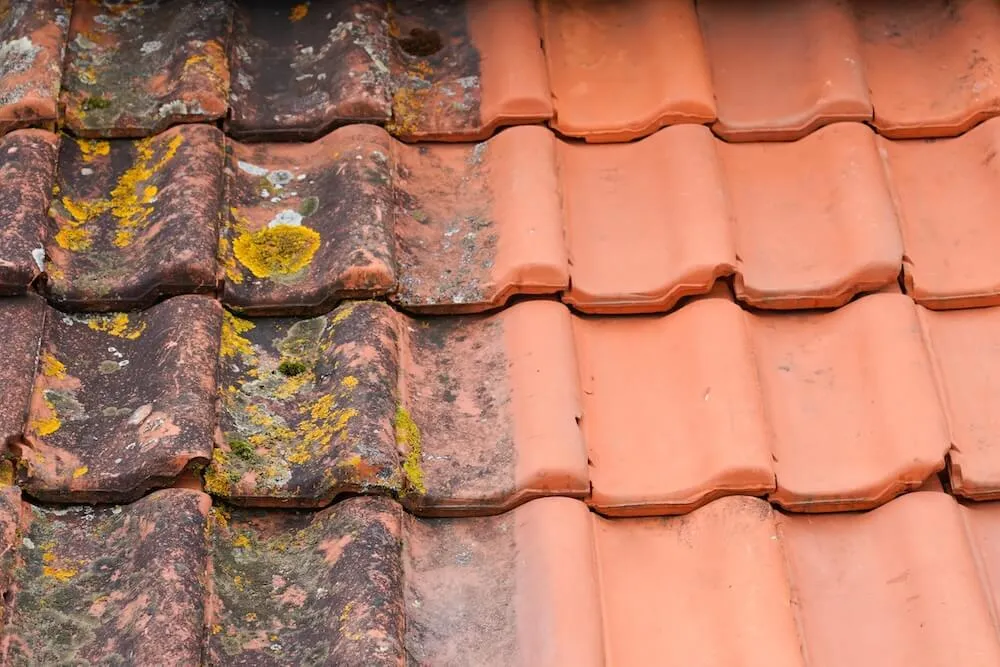 Roof cleaning